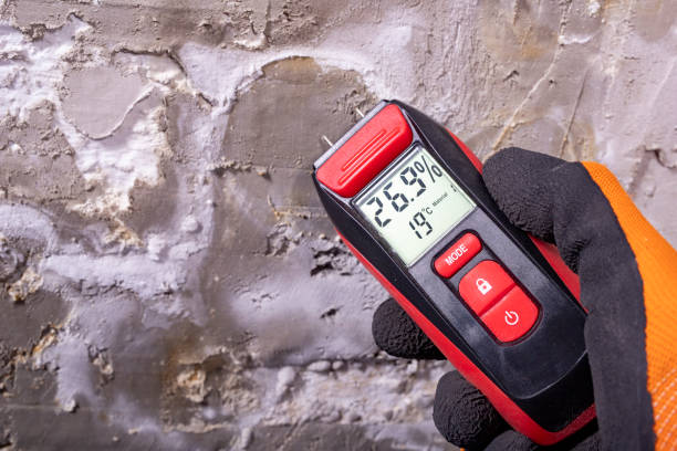 Best Kitchen Mold Remediation in Signal Mountain, TN