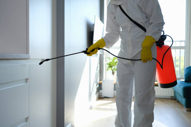 Best Post-Flood Mold Remediation in Signal Mountain, TN
